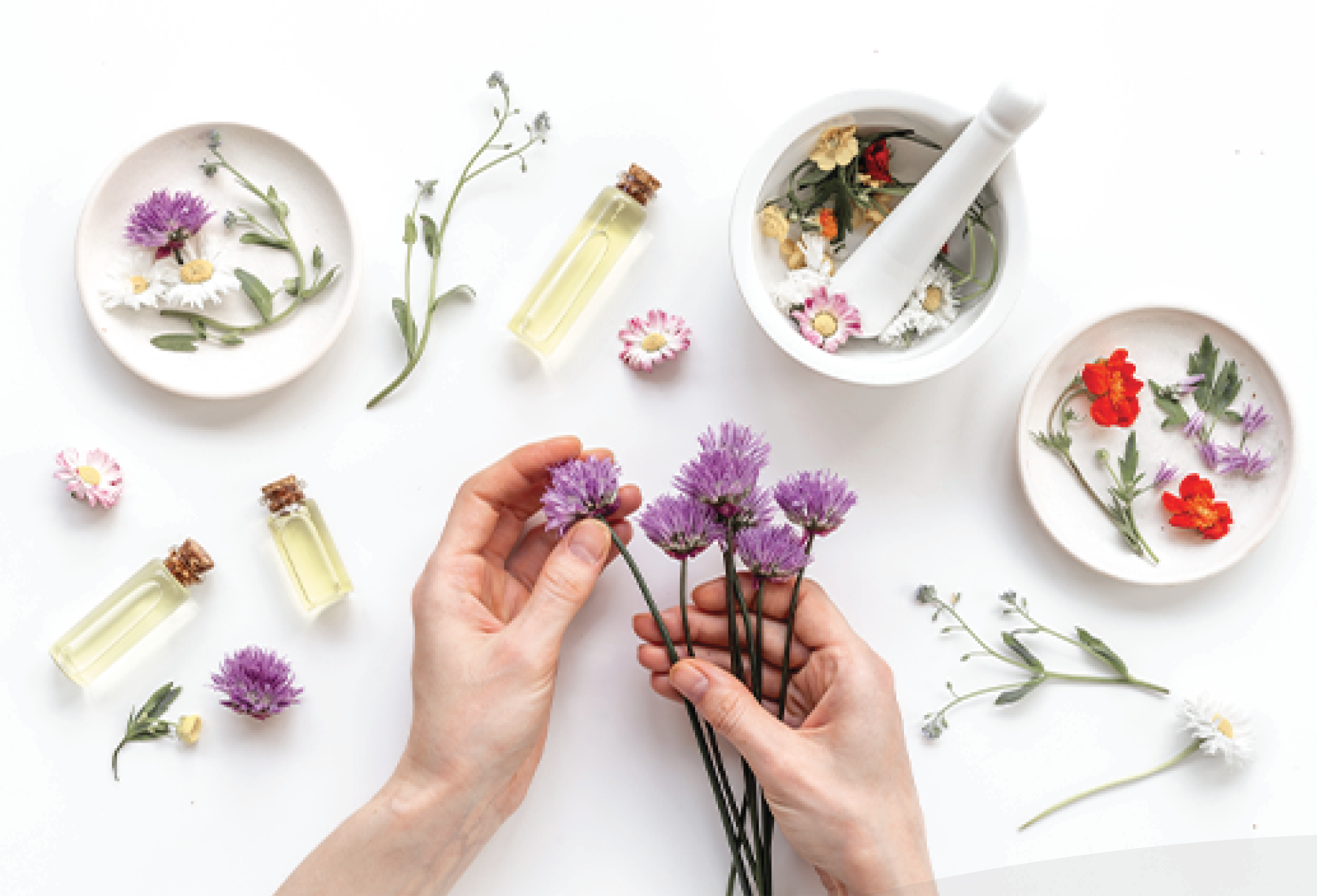 WHAT IS AYURVEDA? THE SACRED SCIENCE OF SKIN